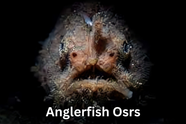 Anglerfish Osrs